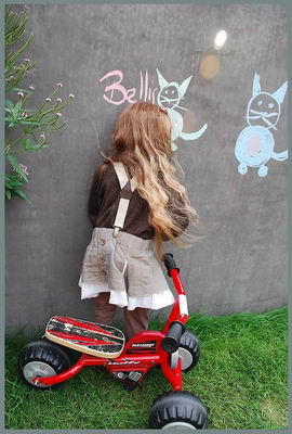 Bellis
