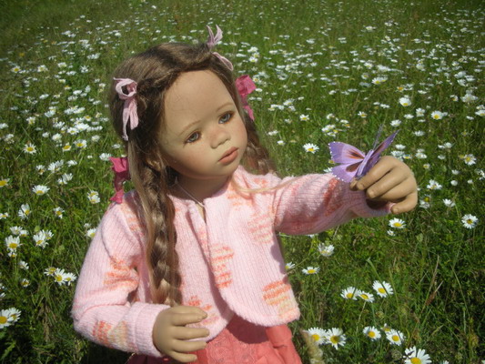 Bellis